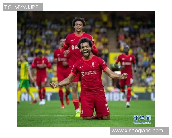 2019年利物浦与诺维奇精彩对决全程回顾与分析