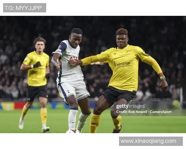 埃尔夫斯对赫根比赛结果分析及精彩瞬间回顾