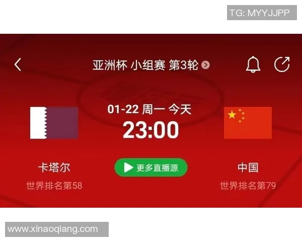 国足与卡塔尔精彩对决录像回放央视全程直播回顾分析