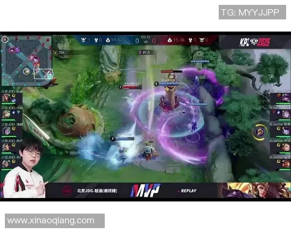 王者荣耀热议JDG节奏引发的争议与战术分析探讨