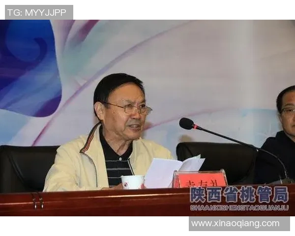 对话张敏:回顾羽毛球生涯的辉煌与挑战分享