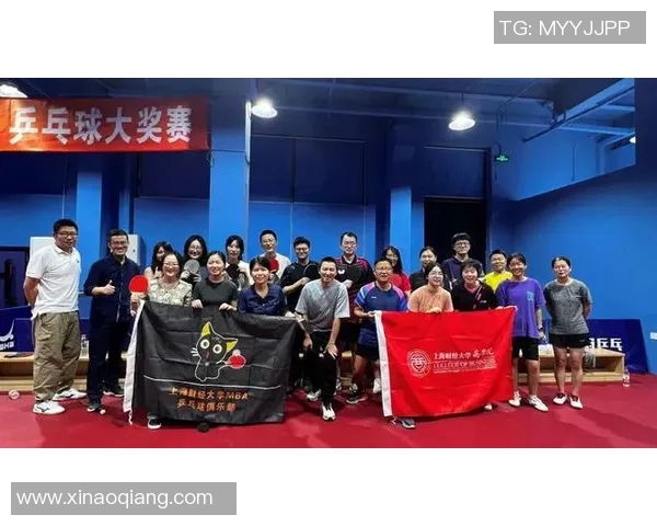 广州乒乓球队防反策略分析及其在比赛中的得失表现探讨MBA