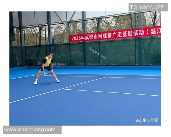 成都网球队中路突破的成功与不足分析及未来发展方向探讨