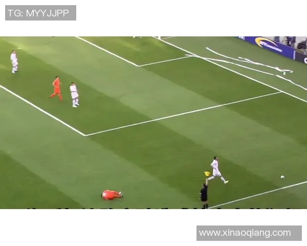 捷克与英格兰激战预选赛争夺欧洲杯入场券的关键之战