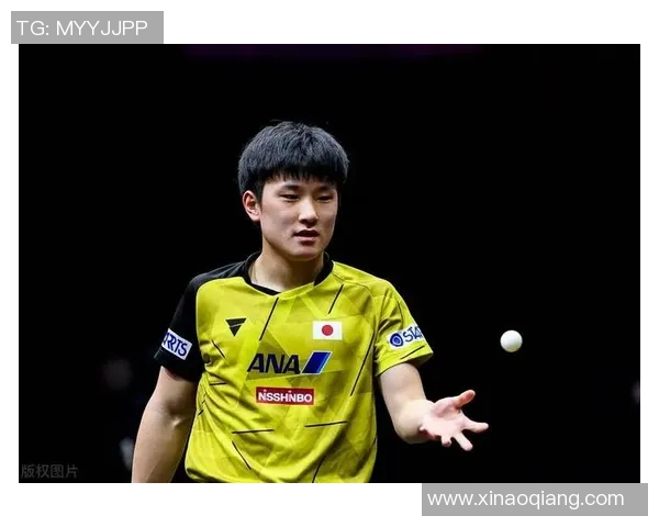 波尔与张本智和精彩对决视频回顾乒乓球巅峰对决不容错过